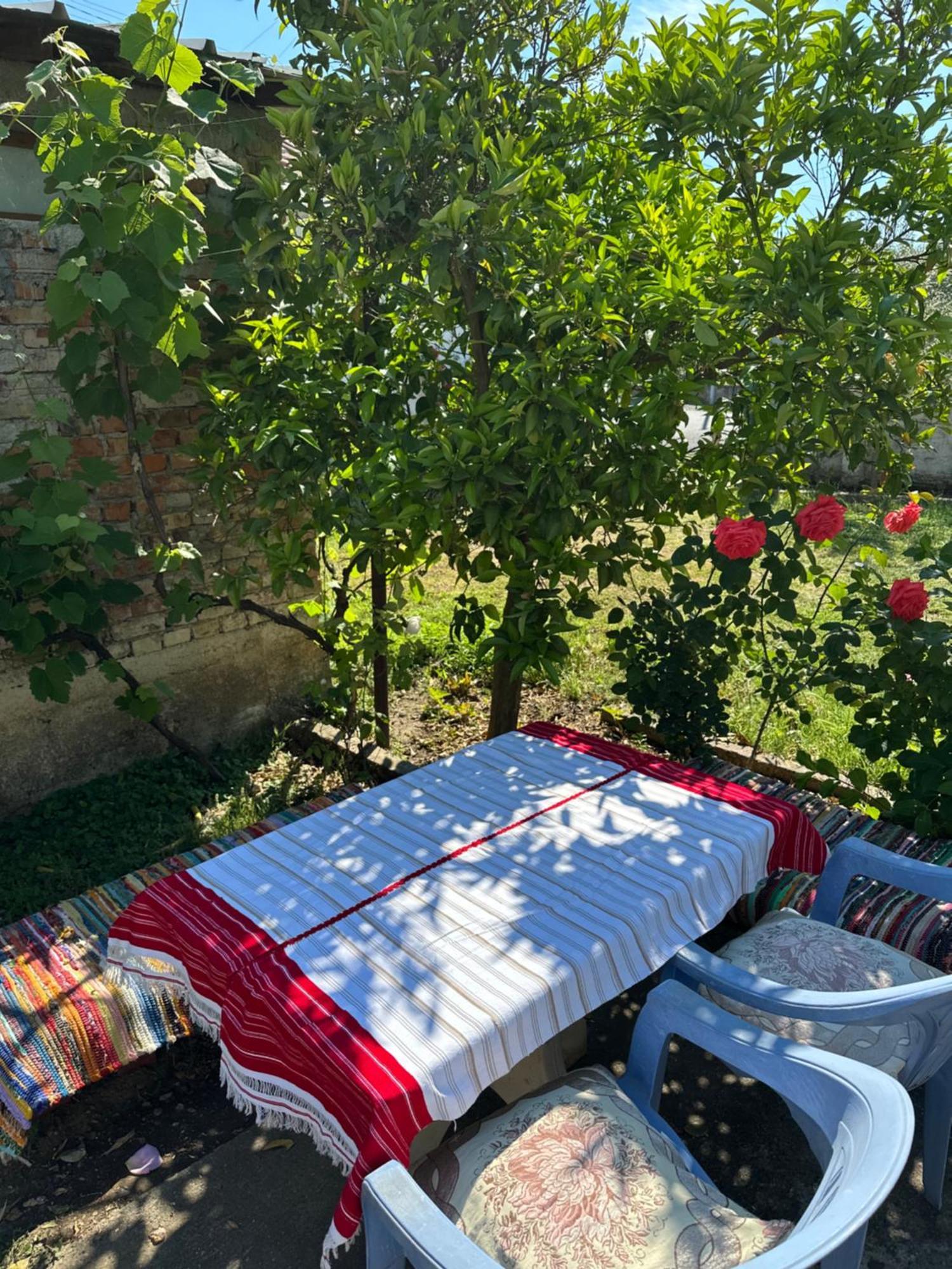 Villa Zefi Rrenc Papaj Exterior foto